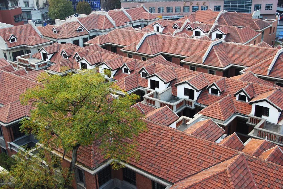 1733993231149532.jpg b711bc29b285af97f5fe2e6d05847719.jpg