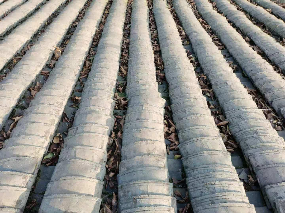 1734056840563893.png 917608d55fe1a706d69f3ce3bbaa0ed2.png